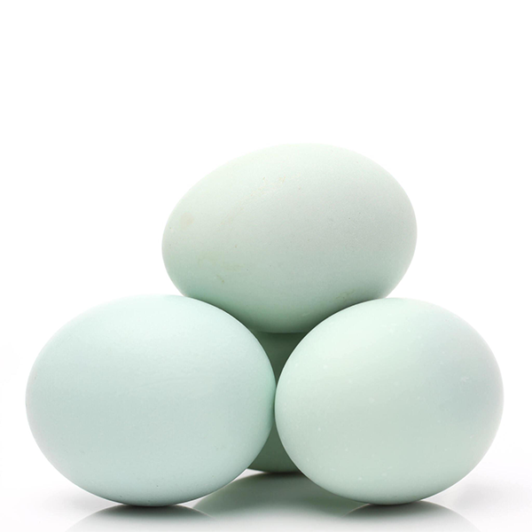 buy-delicious-unique-duck-eggs-all-across-uae-fresh-leaf-uae