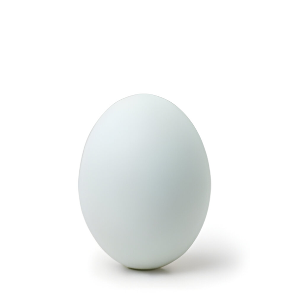 buy-delicious-unique-duck-eggs-all-across-uae-fresh-leaf-uae