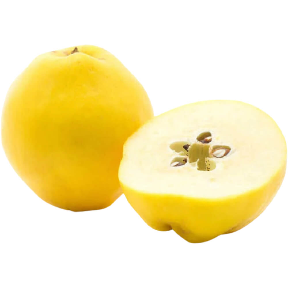 Quince