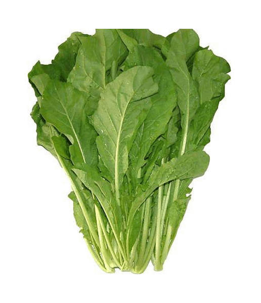 Buy Online Fresh Roca Leaves Vegetable in Dubai | Freshleaf UAE