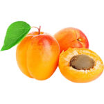 apricot freshleaf dubai uae