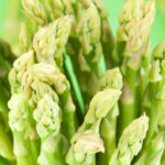 baby asparagus dubai by freshleaf uae