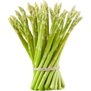 baby asparagus dubai freshleaf uae