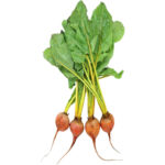 baby beetroot golden freshleaf dubai uae