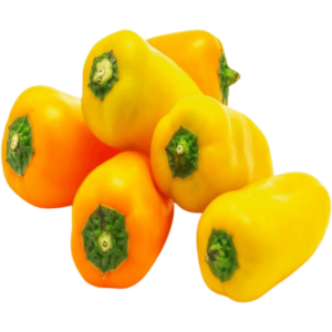 baby capsicum yellow dubai freshleaf uae