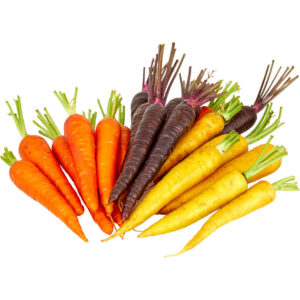 baby rainbow carrots freshleaf dubai uae