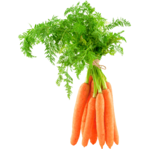 baby carrot with leaf dubai freshleaf uae