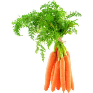 baby carrot with leaf freshleaf dubai uae