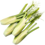 baby fennel freshleaf dubai uae