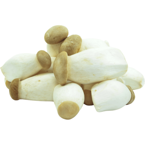 baby king oyster mushroom dubai freshleaf uae