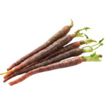 baby purple carrot freshleaf dubai uae