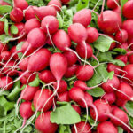 baby radish freshleaf dubai uae