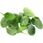 baby spinach freshleaf dubai uae