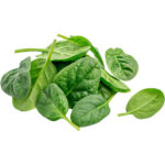 baby spinach freshleaf dubai uae