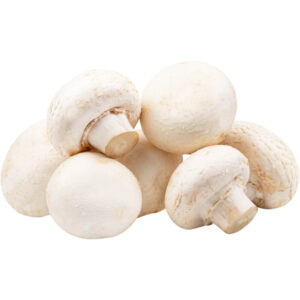 white baby button mushroom dubai freshleaf uae