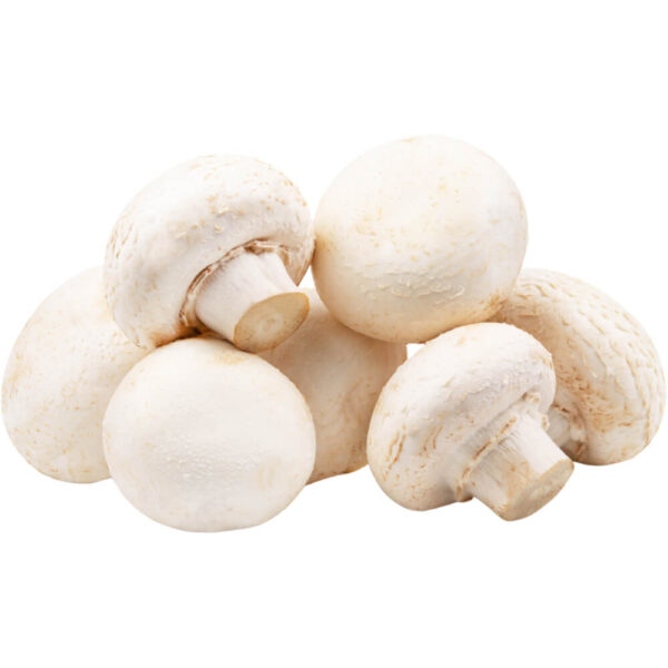 baby white mushroom freshleaf dubai uae