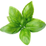 basil freshleaf dubai uae