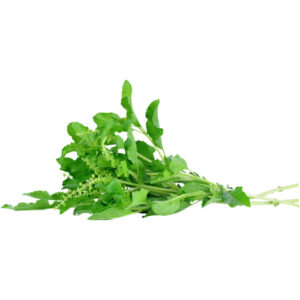 basil hot freshleaf dubai uae