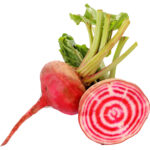 beetroot chioggia freshleaf dubai uae