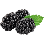 black berries freshleaf uae