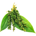 black pepper freshleaf dubai uae