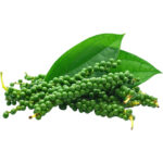 black pepper freshleaf dubai uae