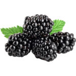 blackberry freshleaf dubai uae