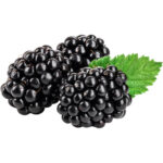 blackberry freshleaf dubai uae