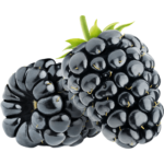 blackberry fruit freshleaf uae