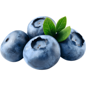 blue berry freshleaf uae