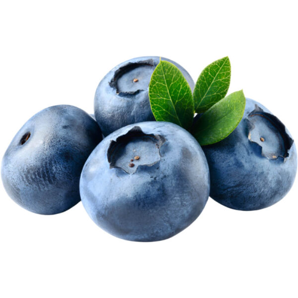 blueberry freshleaf dubai uae