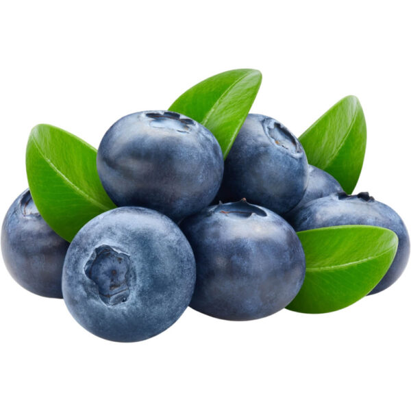 blueberry freshleaf dubai uae