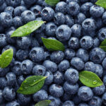 blueberry freshleaf dubai uae