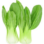 bok choy freshleaf dubai uae