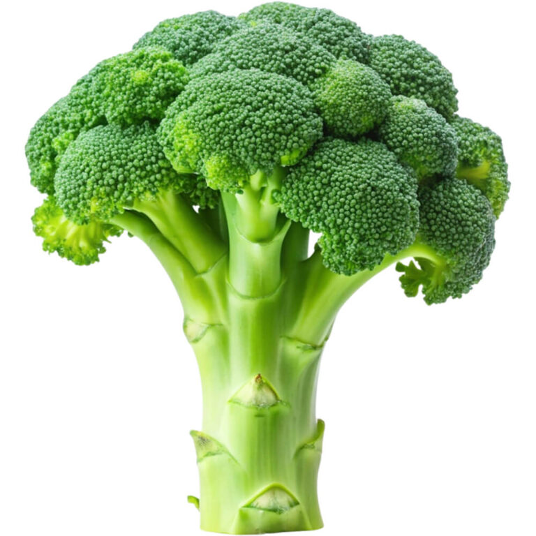 broccoli freshleaf dubai uae