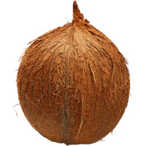 brown coconut freshleaf dubai uae