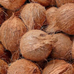 brown coconut freshleaf dubai uae