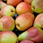 brown-pears-freshleaf-dubai-uae