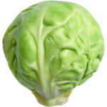 brussels sprout freshleaf dubai uae