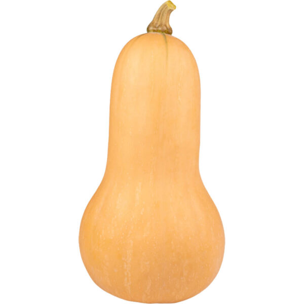 butternut pumpkin freshleaf dubai uae