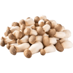 buy baby king oyster mushroom dubai freshleaf uae