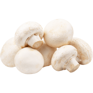 buy baby white mushroom in dubai by freshleaf uae