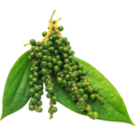 buy black pepper dubai freshleaf uae