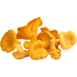 buy chanterelle mushrooms dubai freshleaf uae