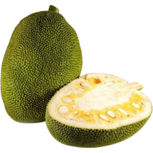 buy jackfruit green dubai freshleaf uae