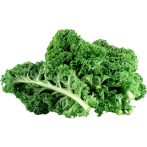 buy kale leaves dubai freshleaf uae