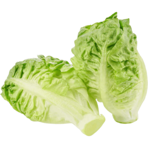 buy lettuce gem in dubai freshleaf uae