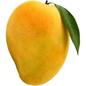 buy mango fass in dubai by freshleaf uae