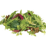 buy mesclun mix dubai freshleaf uae