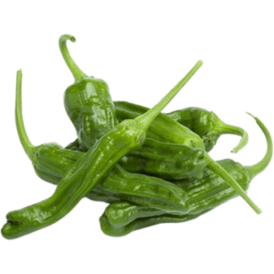 buy padron pepper in dubai by freshleaf uae